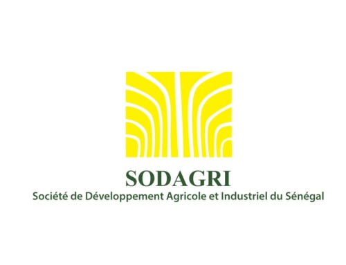 Reunión con representantes de SODAGRI y de la Universidad Assane Seck en Ziguinchor (Senegal)