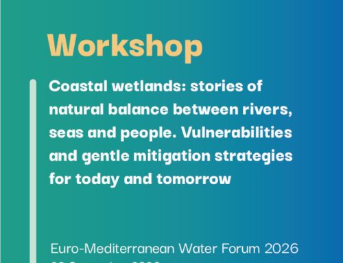 Water Governance and Climate Change: DeltaMed’s Contribution to the International Debate in Rome